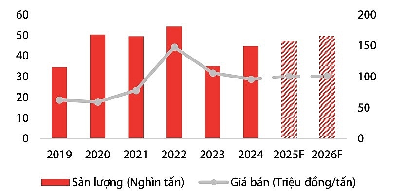 Đón sóng tăng trưởng từ cuộc đua bán dẫn thế giới, Hóa chất Đức Giang (DGC) được dự báo lãi 3.170 tỷ