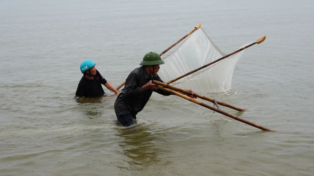 Biển động, trời nổi gió: Dân vùng biển lại tranh thủ 'gom lộc trời ban', bán nửa triệu mỗi ký
