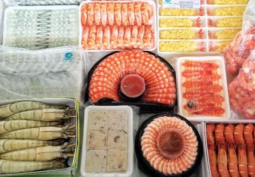 'Thiên đường' mới cho tôm Việt
