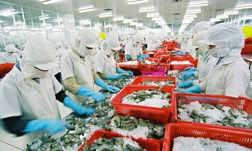 Ngành học gắn liền với ngành hàng hàng chục tỷ đô, điểm chuẩn từ 16 điểm: Tốt nghiệp doanh nghiệp săn đón, lương tới 200 triệu/tháng
