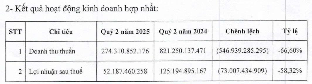 Chủ tịch DIG hứa KQKD quý II/2025 ‘không phụ lòng cổ đông’, nhưng hiện thực gây ngỡ ngàng