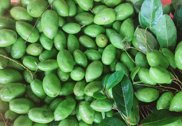 Xưa chỉ là cây dại, tiện tay vặt ăn vui mồm, hay hóa thành đặc sản lạ miệng: Vào cả thực đơn nhà hàng, giá bán thế nào?