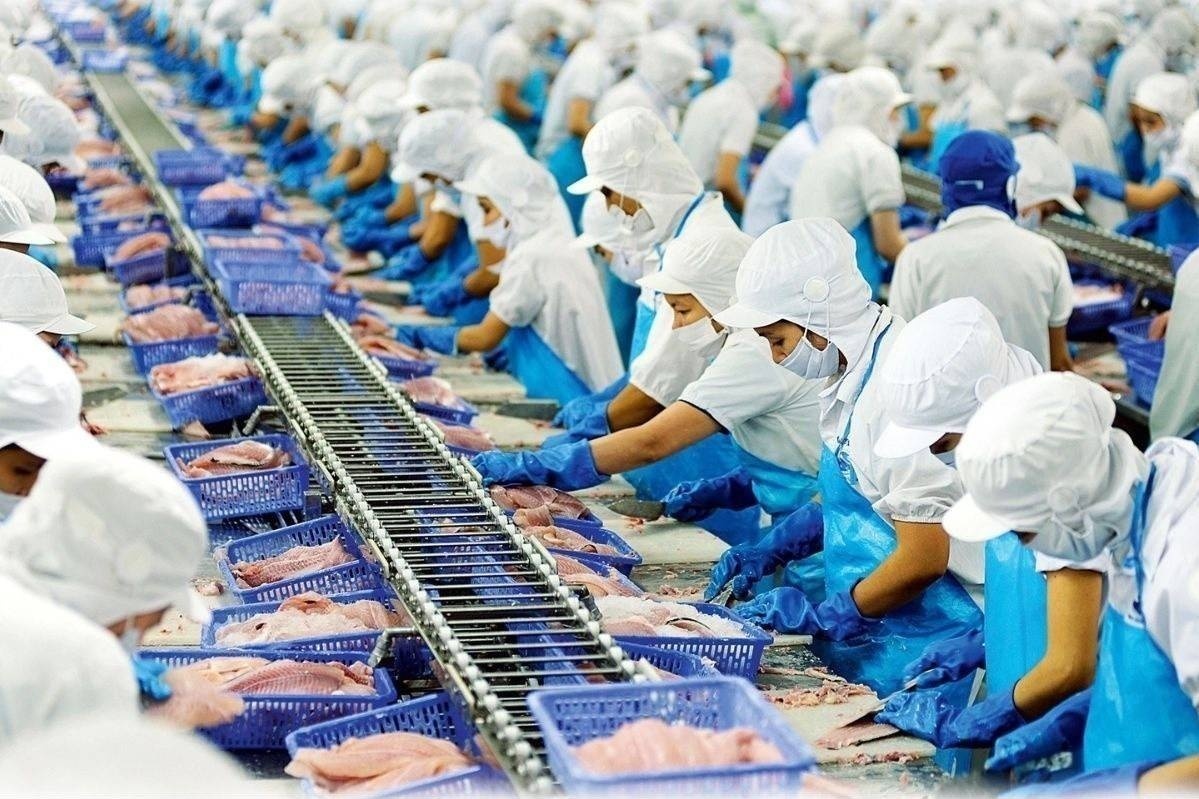 Thủy sản IDI lãi tăng bằng lần, vì sao cổ phiếu vẫn dưới mệnh giá?
