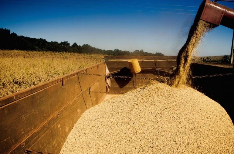 Mỹ ép đậu tương nhiều nhất lịch sử, mở đường cho cuộc cách mạng xanh