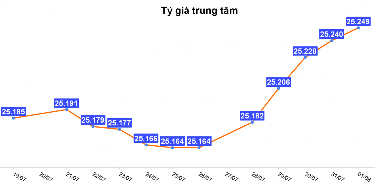 Tỷ giá hôm nay 1/8: Tỷ giá trung tâm lên mức 25.249 VND/USD