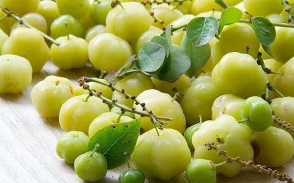 Loại quả mọc dại xưa chín rụng đầy, cho không ai lấy, giờ thành đặc sản 'cháy hàng' giá 120.000 đồng/kg