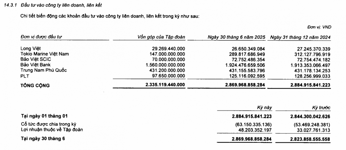 Rót gần 3.600 tỷ vào chứng khoán, Bảo Việt phải trích lập tới 91% cho một cổ phiếu chưa niêm yết
