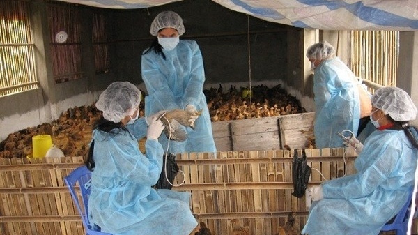 Doanh nghiệp tới tận trường săn đón, thu nhập 30 triệu đồng/tháng: Một ngành tại Học viện Nông nghiệp Việt Nam âm thầm lên ngôi