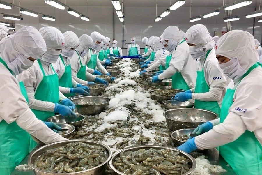 Xuất khẩu thủy sản đạt 10 tỷ USD, vì sao doanh nghiệp Việt vẫn chật vật tìm chỗ đứng ngay trên sân nhà?