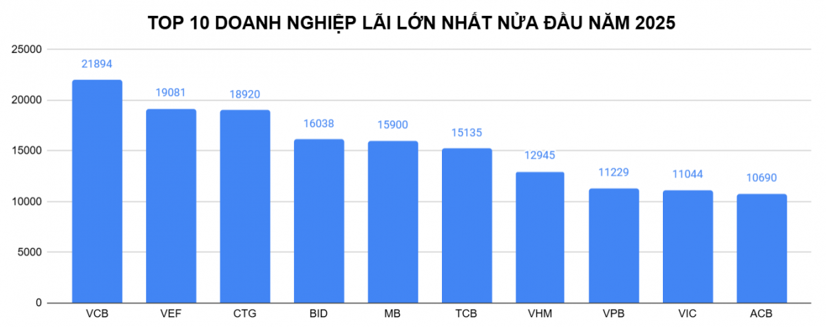 Top 10 doanh nghiệp lãi lớn nhất nửa đầu năm 2025: Là các ngân hàng và 3 công ty liên quan ông Phạm Nhật Vượng