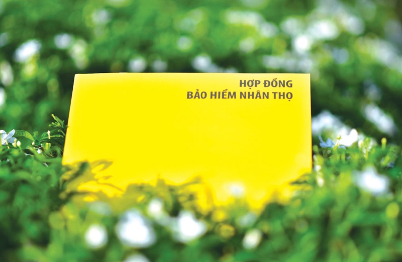 Khách hàng hủy bảo hiểm nhân thọ sẽ được hoàn 100% phí trong trường hợp sau