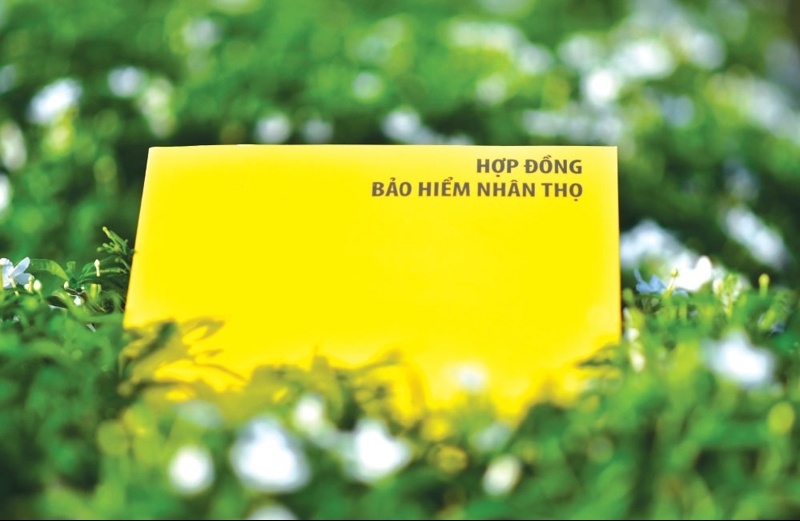 Khách hàng hủy bảo hiểm nhân thọ sẽ được hoàn 100% phí trong trường hợp sau