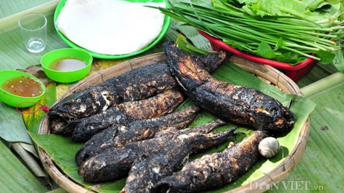 Loài cá quý hiếm có tên 