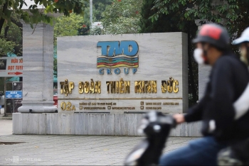 Tập đoàn Thiên Minh Đức của đại gia Chu Thị Thành nợ thuế 1.000 tỷ, cao nhất từ trước đến nay tại Nghệ An