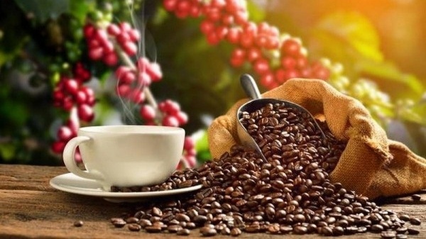 Châu Âu không thể thiếu, Nga không thể trồng: Đua nhau nhập hàng trăm nghìn tấn 'hạt tỷ đô' của Việt Nam