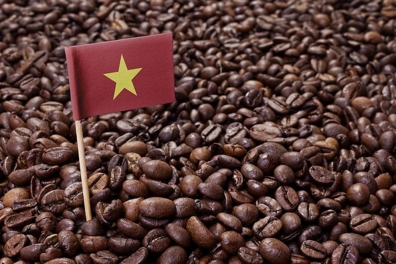 Châu Âu không thể thiếu, Nga không thể trồng: Đua nhau nhập hàng trăm nghìn tấn hạt tỷ đô của Việt Nam