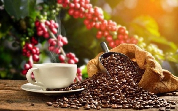 Châu Âu không thể thiếu, Nga không thể trồng: Đua nhau nhập hàng trăm nghìn tấn hạt tỷ đô của Việt Nam