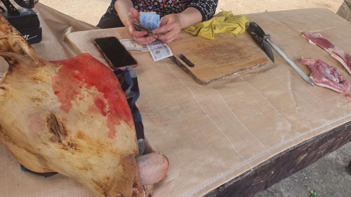 Dịch tả lợn châu Phi lan rộng: Nhiều nơi vứt lợn chết ra đường, tiểu thương 'méo mặt' vì quá ế ẩm