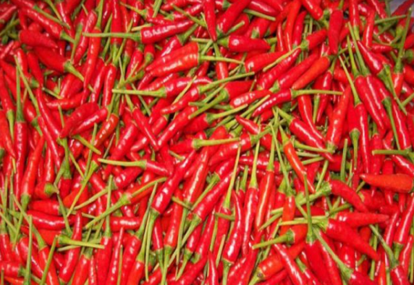 Bất ngờ loại quả Việt Nam bán đầy chợ, giá chỉ vài chục nghìn/kg lại lọt top 'rau củ bổ dưỡng nhất thế giới'
