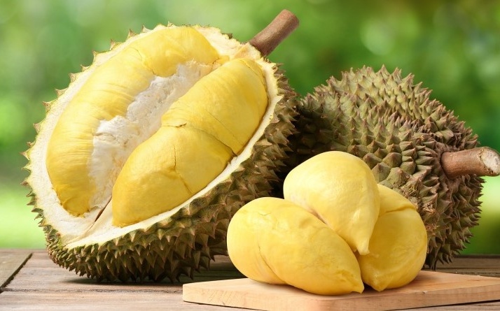 Sầu riêng Việt chính thức có 'hộ chiếu riêng': Bước ngoặt xuất khẩu mang tầm chiến lược