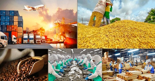 Việt Nam xuất siêu 10 tỷ USD sau 7 tháng, nhập siêu từ Trung Quốc lập đỉnh