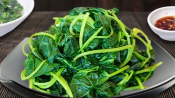 Loại rau 'từng cho heo' thành siêu thực phẩm được Mỹ thu mua với giá 1 triệu/kg vì khả năng 'ức chế tế bào phổi bệnh lý' mạnh hơn cả thuốc nhập khẩu