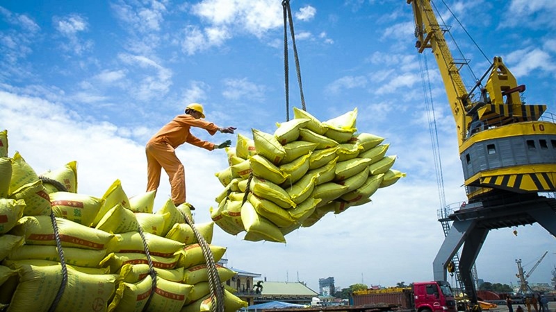 Thị trường lớn nhất thế giới đột ngột dừng nhập khẩu gạo, doanh nghiệp Việt có gặp 'sóng lớn'?