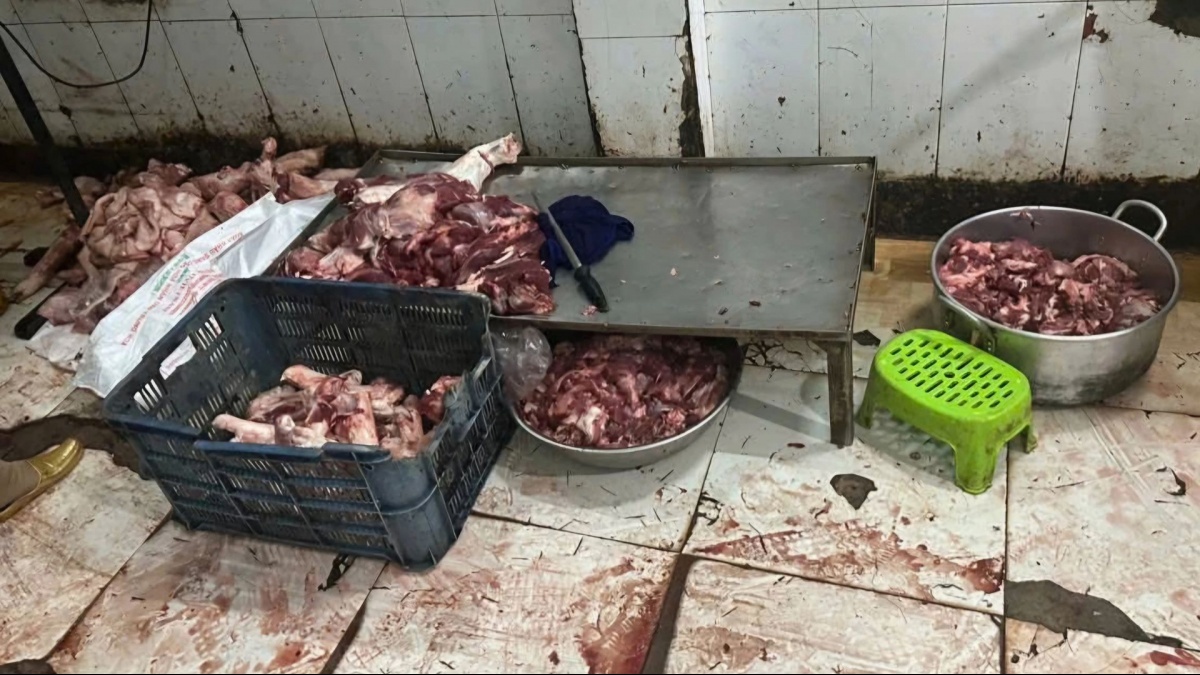 Phát hiện cơ sở giết mổ trái phép đang sơ chế, trữ đông 1 tấn thịt heo không không rõ nguồn gốc