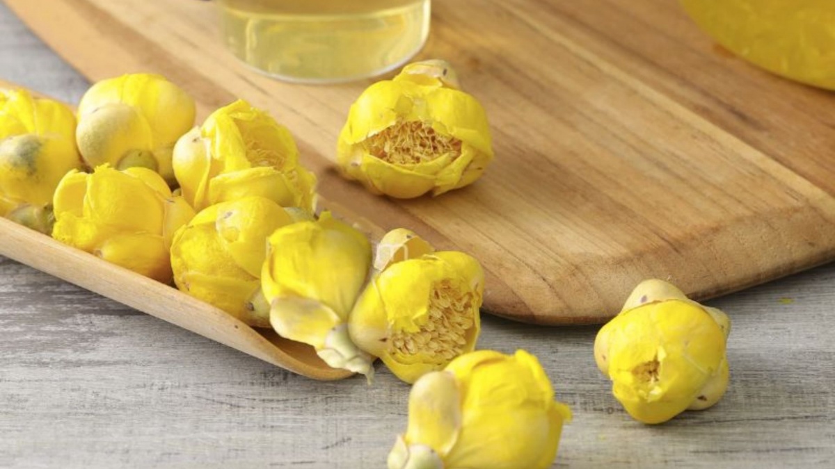 Cây 'đẻ ra vàng' ở Việt Nam được Trung Quốc lùng mua ráo riết, được ví như 'thần dược' giá tới 15 triệu/kg