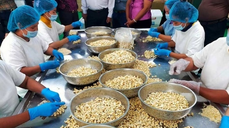 Hơn 800 nghìn tấn hàng này của Campuchia tràn vào Việt Nam trong 6 tháng đầu năm 2025: Tăng gần 20% so với cùng kỳ, thuế nhập khẩu bằng 0