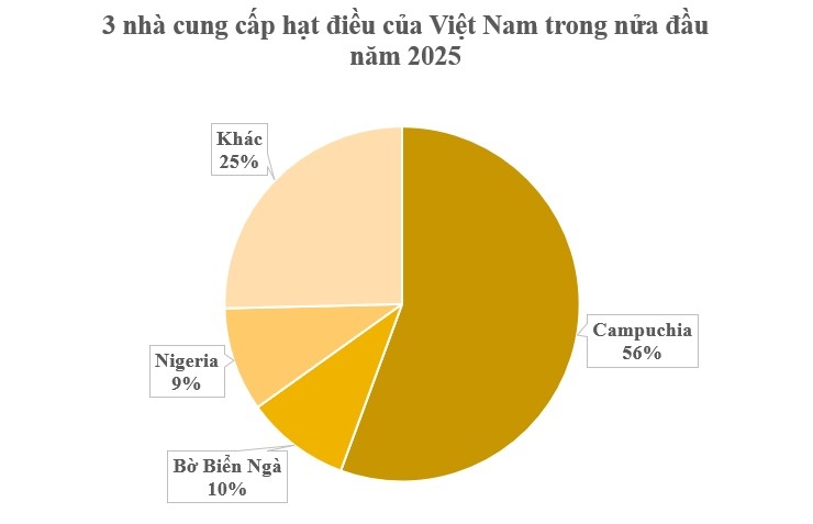 Hơn 800 nghìn tấn hàng này của Campuchia tràn vào Việt Nam trong 6 tháng đầu năm 2025: Tăng gần 20% so với cùng kỳ, thuế nhập khẩu bằng 0