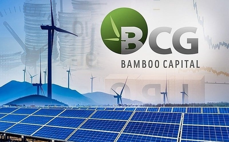 Công ty 'nòng cốt' của Bamboo Capital (BCG) lãi 21 tỷ đồng sau 6 tháng, chuẩn bị họp cổ đông