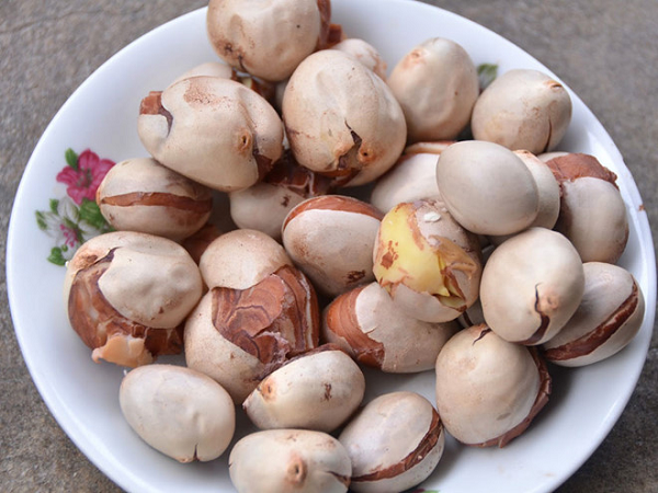 Thứ người Việt thường bỏ đi sau mỗi lần ăn mít lại được người Nhật xem là 'vàng', giá tới 200.000 đồng/kg