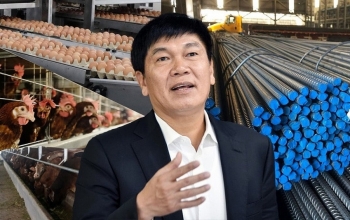 Từ 'không biết sợ là gì', vua thép Hòa Phát (HPG) vững chân sau một thập kỷ bước vào nông nghiệp: Đã đến lúc tính lại chiến lược?