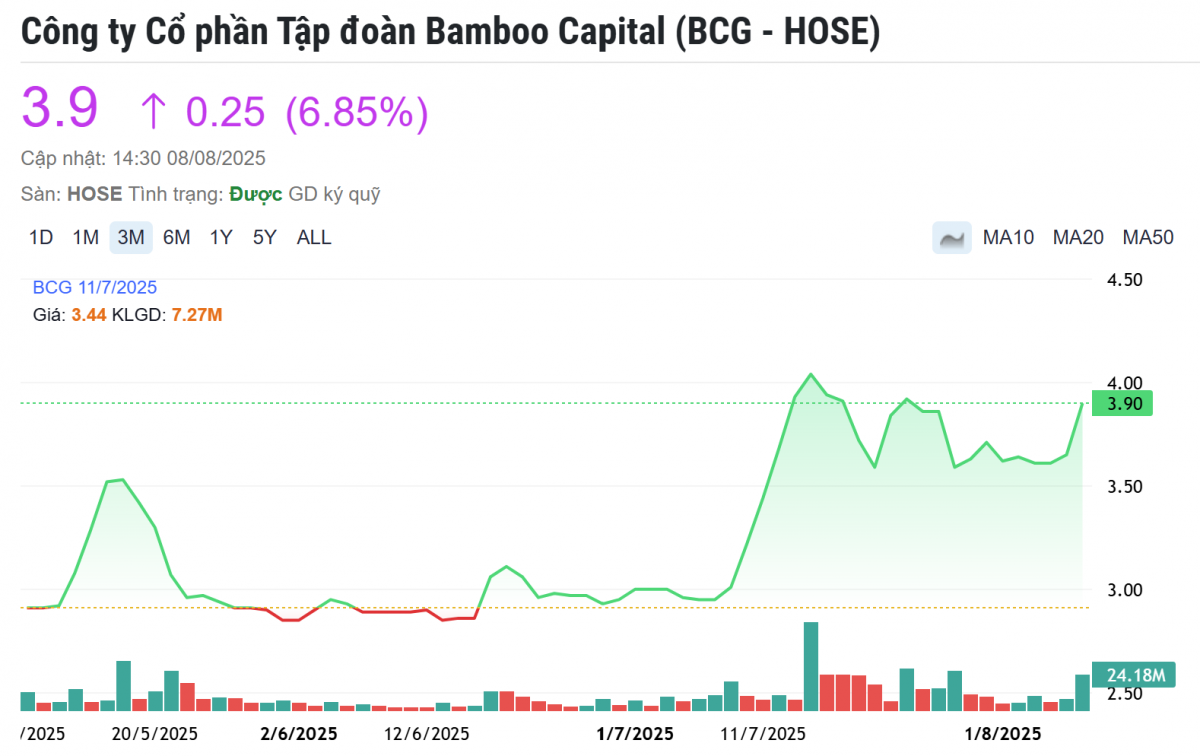 Lãnh đạo Bamboo Capital (BCG) muốn bán sạch cổ phiếu