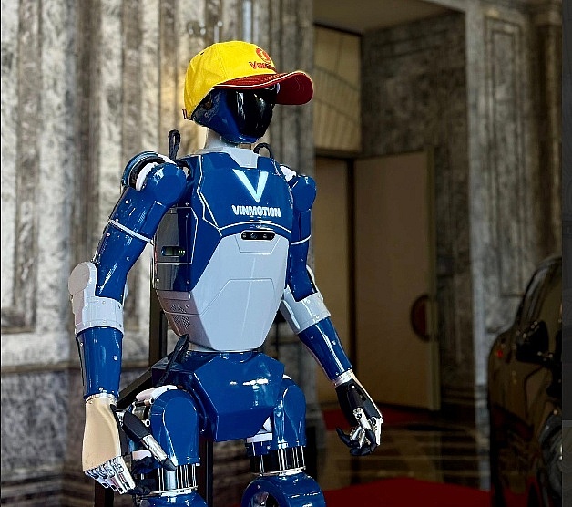 vino-compressed20250809112401.jpg