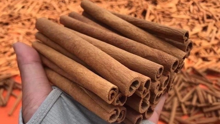 Lý do 22 tấn 'vàng xanh' của Việt Nam bị Ba Lan từ chối