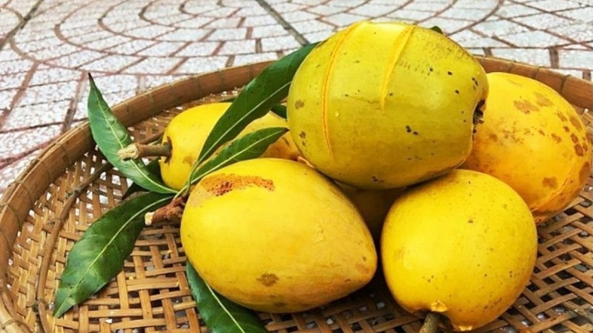 Loại quả ở Việt Nam rụng kín gốc không ai ngó, sang nước ngoài bán giá 'ngất ngưởng' gần 2 triệu/kg: Được đánh giá là tốt hơn bơ gấp bội lần