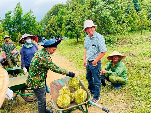 Thị trường tỷ dân 'khát' sầu riêng Việt Nam, HAGL (HAG) của bầu Đức đứng trước cơ hội vàng