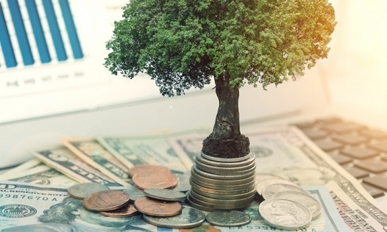 5 doanh nghiệp sắp chốt quyền cổ tức bằng tiền, cao nhất 60%