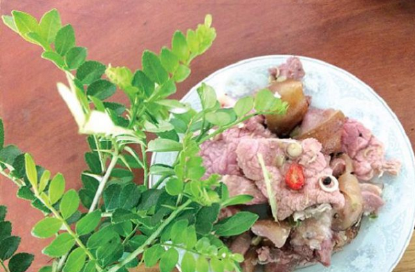 Từ bụi rậm lên bàn tiệc: Loài cây dại tên lạ từng bị lãng quên, giờ thành đặc sản được đầu bếp săn lùng, giá cao bất ngờ