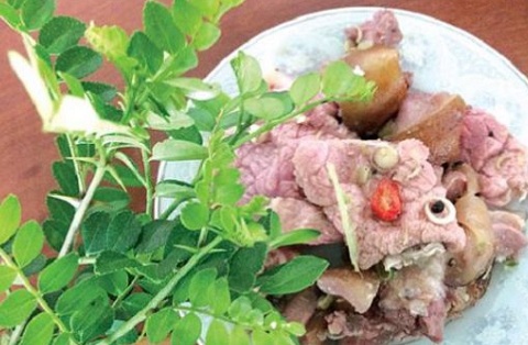 Từ bụi rậm lên bàn tiệc: Loài cây dại tên lạ từng bị lãng quên, giờ thành đặc sản được đầu bếp săn lùng, giá cao bất ngờ
