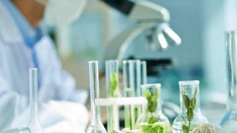 Ra trường không lo thất nghiệp với ngành học này