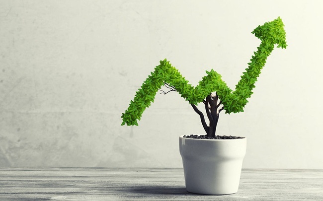 HoSE ra mắt chỉ số VNMITECH và VN50 Growth: Thêm cơ hội mới cho nhà đầu tư