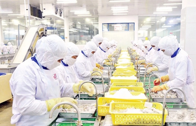 Thuế và vốn đè nặng, các hiệp hội xuất khẩu đồng loạt kiến nghị gỡ khó