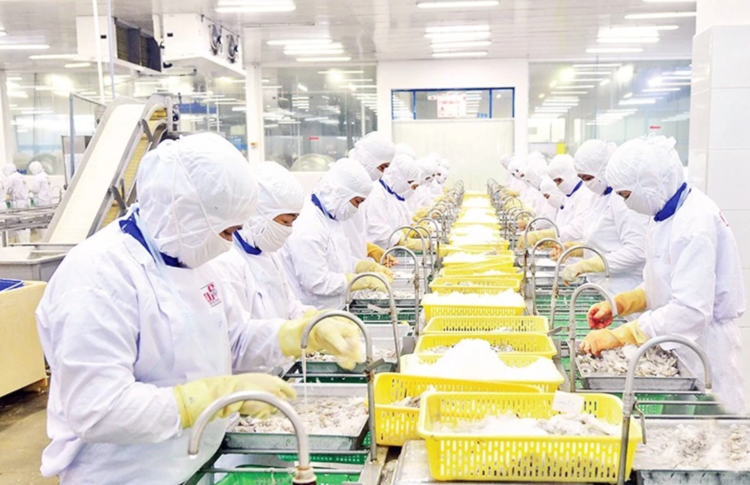 Thuế và vốn đè nặng, các hiệp hội xuất khẩu đồng loạt kiến nghị gỡ khó