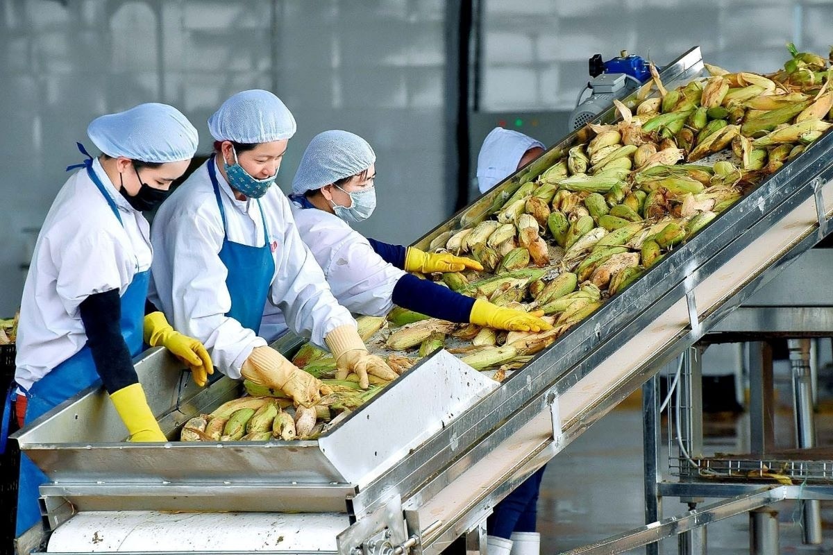 Mục tiêu 65 tỷ USD: Việt Nam tung ‘đại chiến lược’ xuất khẩu nông lâm thủy sản