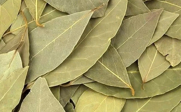 Loại lá bình dân ở Việt Nam, ra nước ngoài thành đặc sản 2 triệu đồng/kg