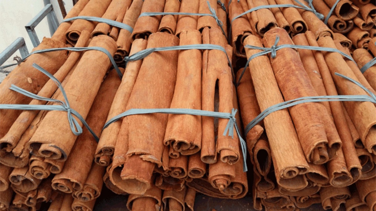Ấn Độ rót hàng trăm triệu USD mua một loại vỏ cây khô của Việt Nam: Thuế nhập khẩu cao nhưng vẫn săn lùng không ngừng, nước ta giữ ngôi ‘ông trùm’ lớn