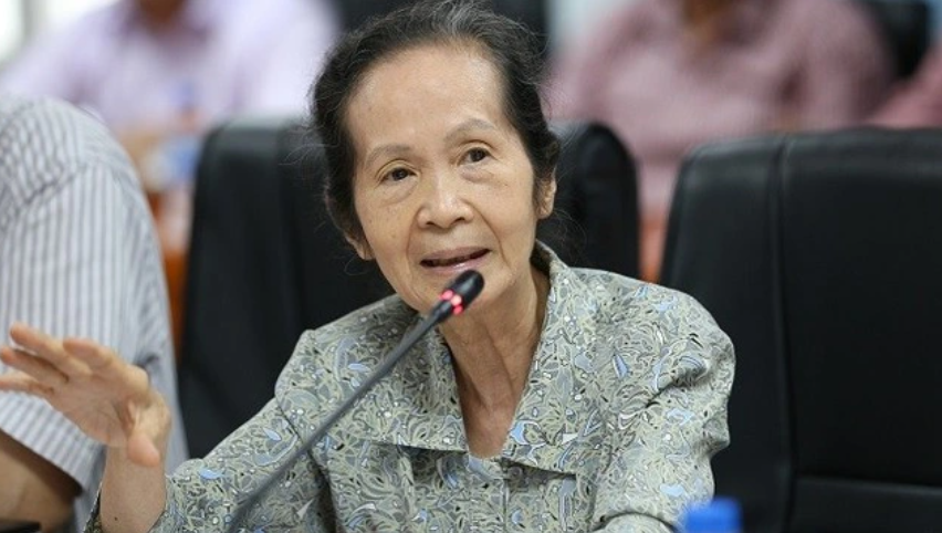 Chuyên gia Phạm Chi Lan: Nên chăng xem người Việt ở nước ngoài là một phần của kinh tế tư nhân Việt Nam?